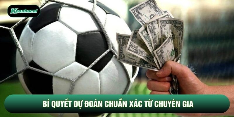 Bí quyết dự đoán chuẩn xác từ chuyên gia