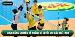 Cược Bóng Chuyền Và Những Bí Quyết Soi Cầu Thể Thao Bất Bại